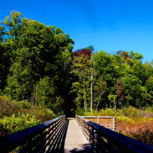 Bridge to nature